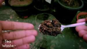Best-organic-liquid-fertilizer-for-vegetable-garden 