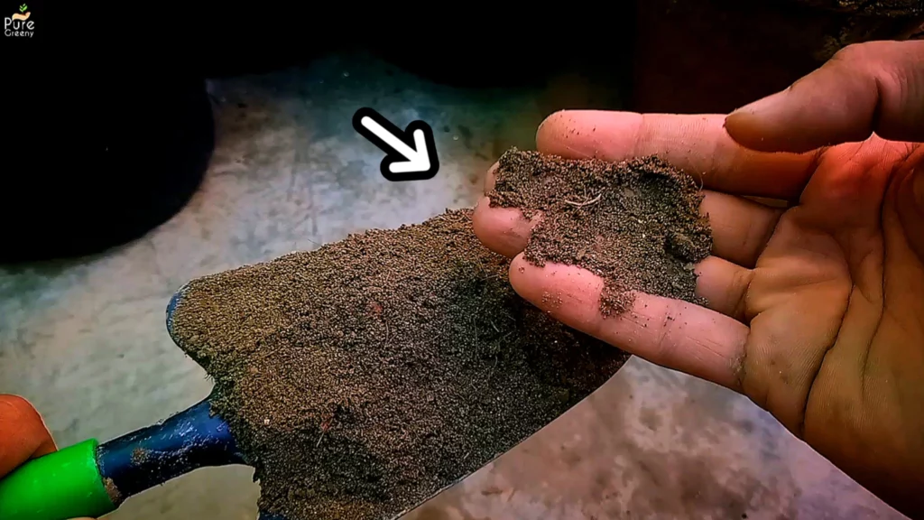 Soil-mix-In-Hand