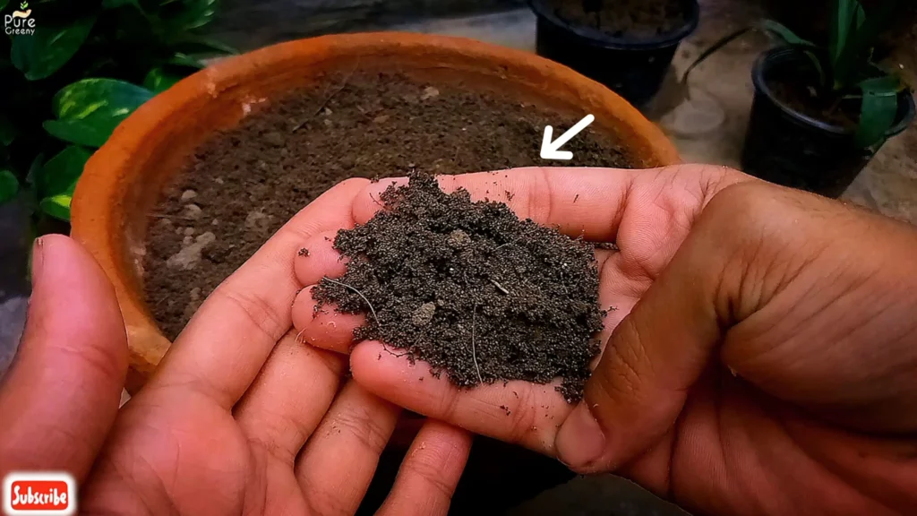 Fertile-Soil-mix-In-Hand