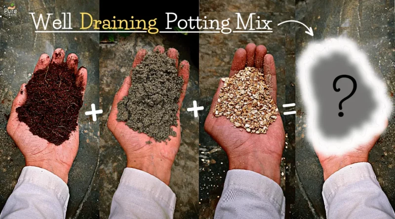 well-draining-potting-soil