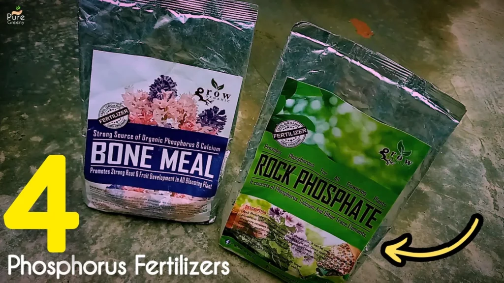 How-to-make-natural-phosphorus-fertilizer

