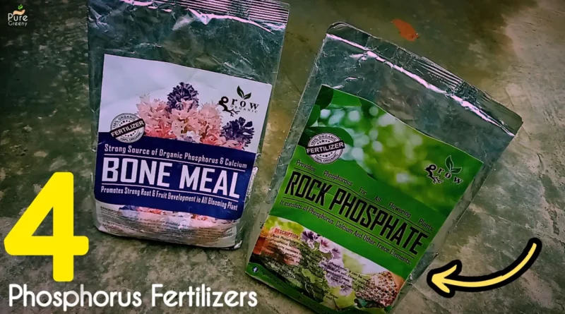 natural-phosphorus-fertilizer