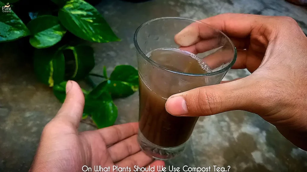 Compost-Tea-Liquid-In-hand