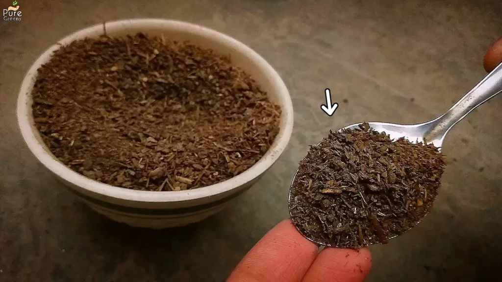Cow-Dung-Compost-In-spoon