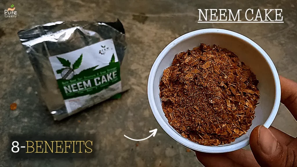 Neem-cake