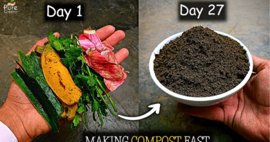 how-to-make-compost-from-kitchen-waste