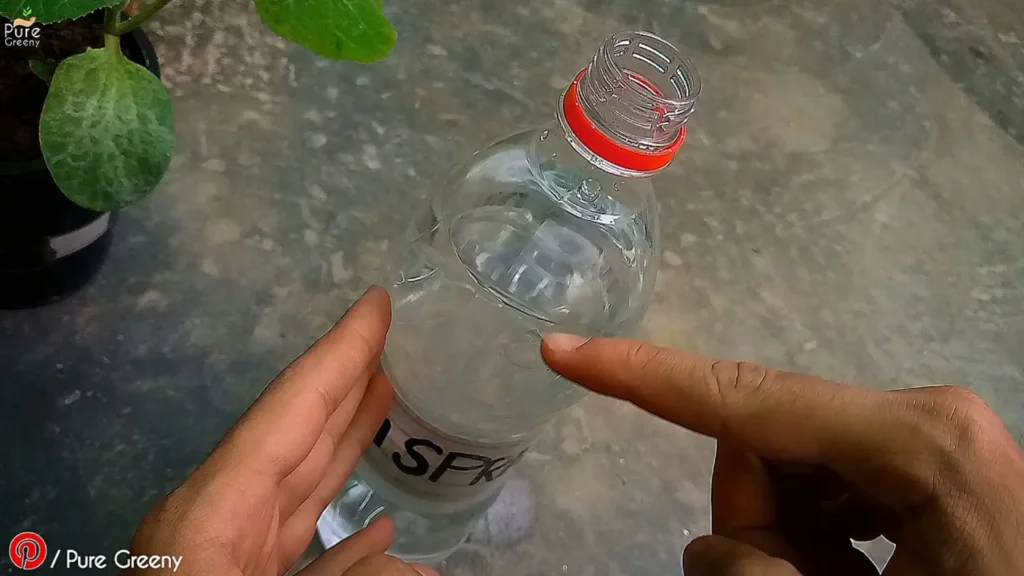 Simple-Water-In-Bottle