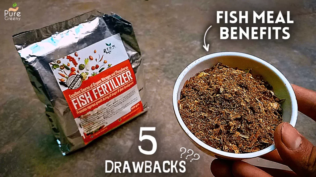 10-BENEFITS of Fish Fertilizer For Plants! (Use Fish Meal This Way)