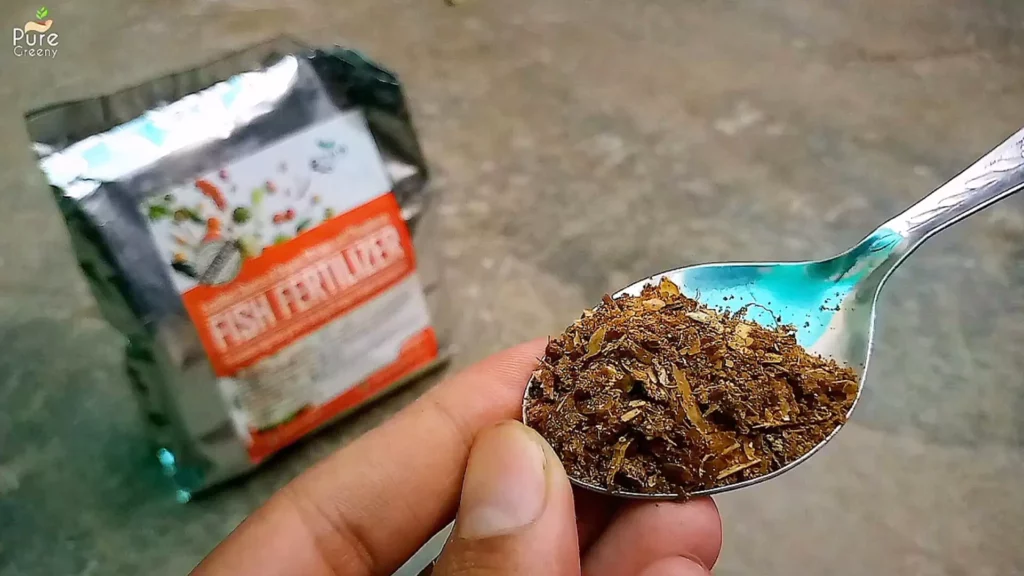 Fish Meal In Spoon
