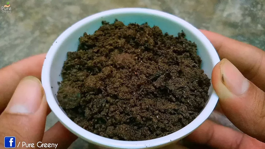 Leaf Mould Compost