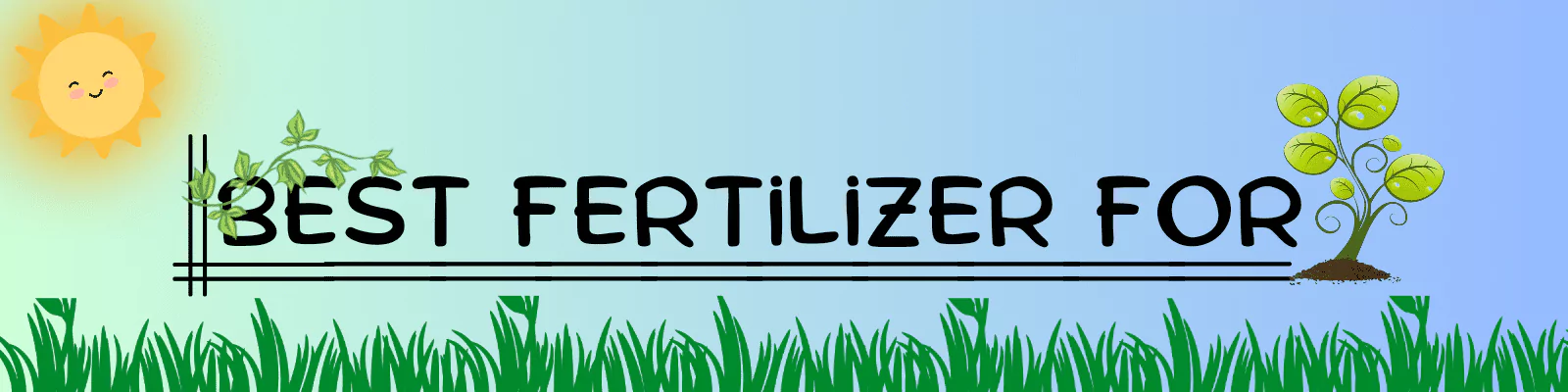 Best Fertilizer For - By Pure Greeny