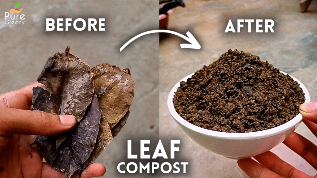 How To Make Leaf Mould Compost at Home? (WITH UPDATES)