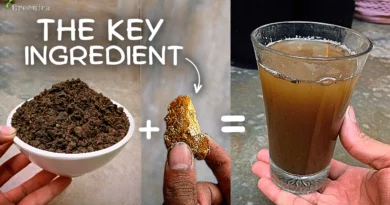 How to Make Compost Tea Liquid Fertilizer At Home? [7-BENEFITS*]