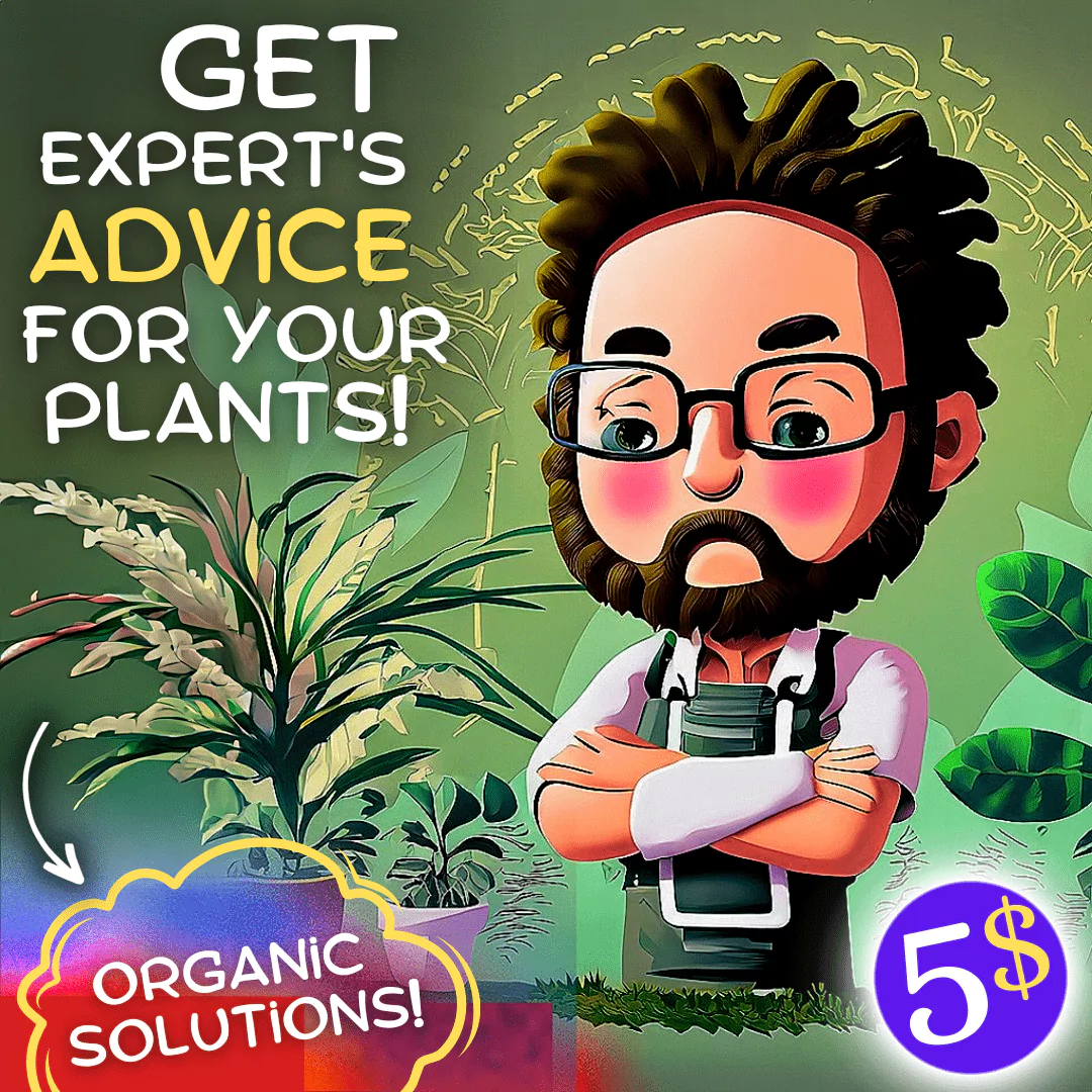 Get Advice For Your Plants!
