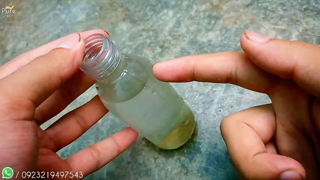 Water Bottle For propagation