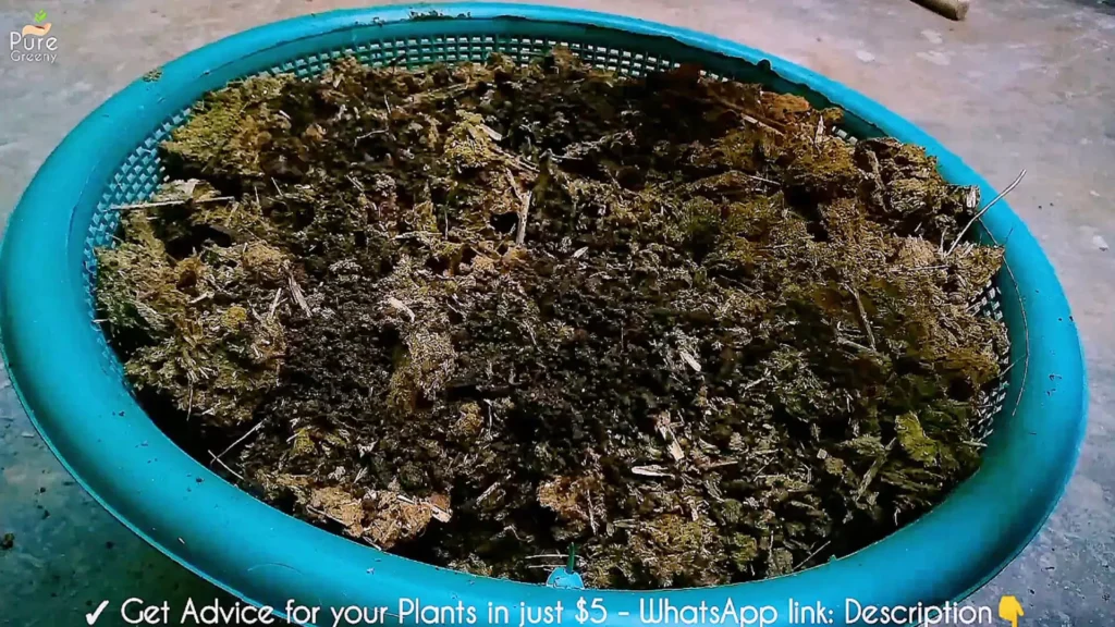 making Cow dung compost At Home