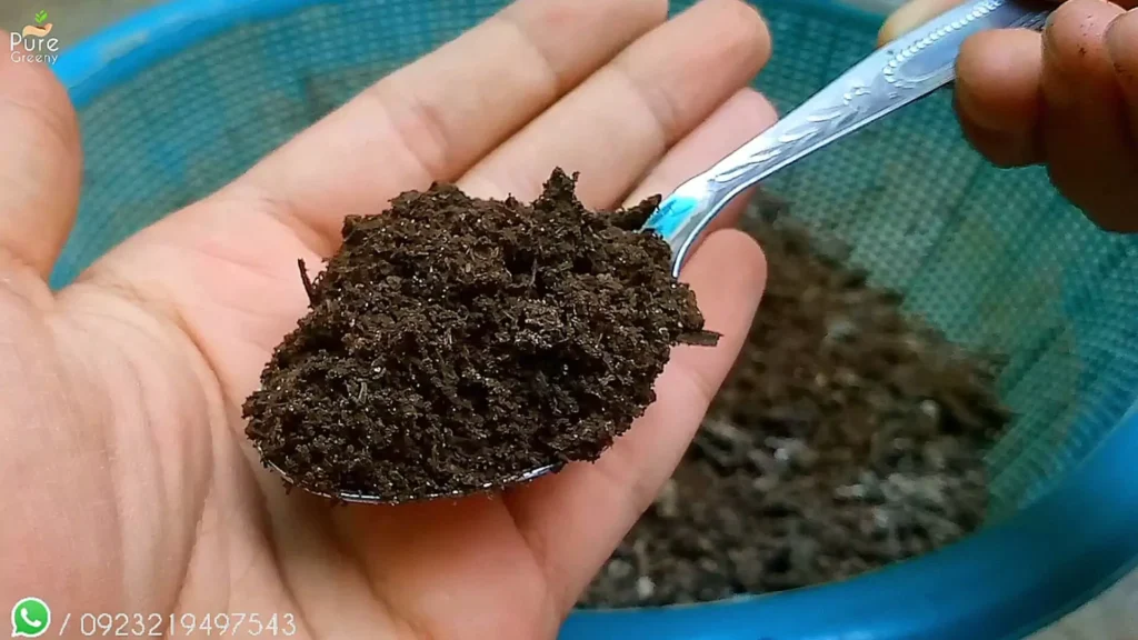 Cow dung compost Ready to use