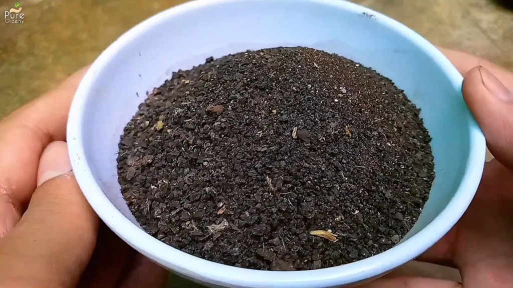 Blood Meal for plants