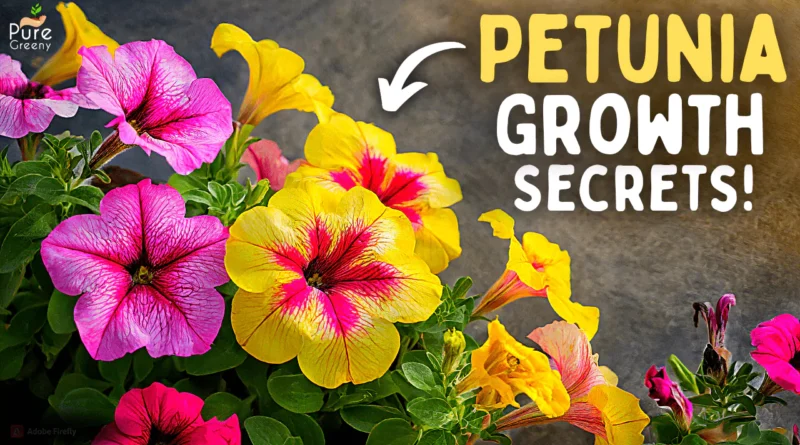 The Ultimate Guide On Petunia Flower Plant Care! (8-Growth Hacks)