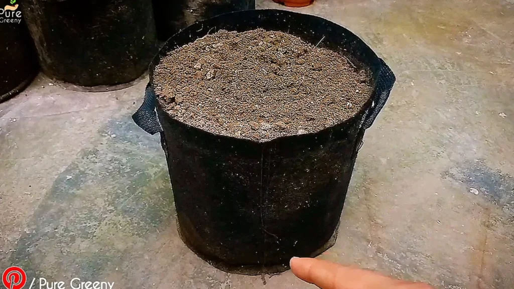 Grow bag