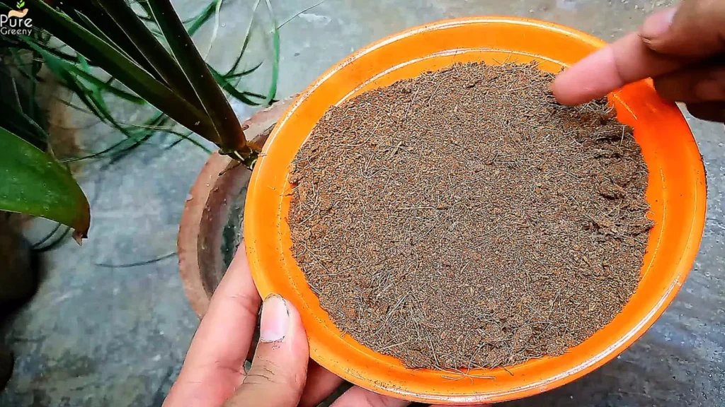 Cocopeat Mulching
