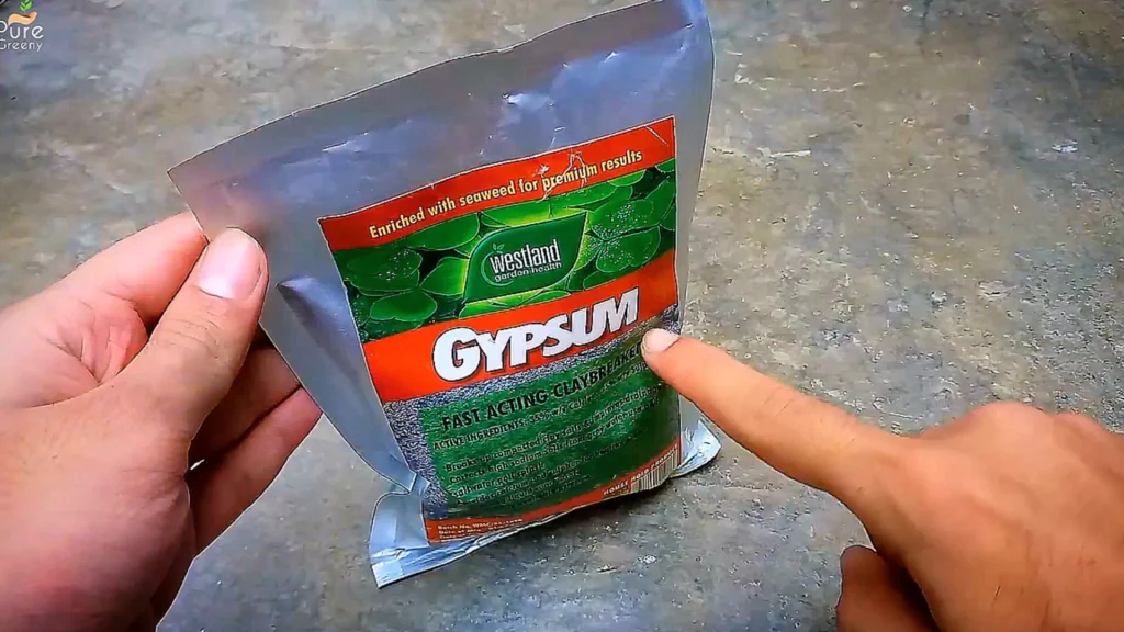 Gypsum Powder