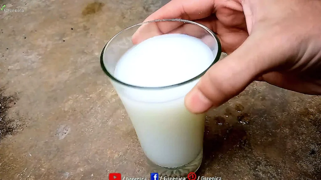 Milk: A Calcium Fertilizer