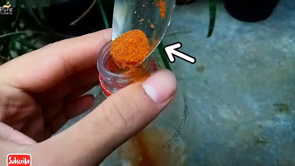 Chilli Powder Spray making