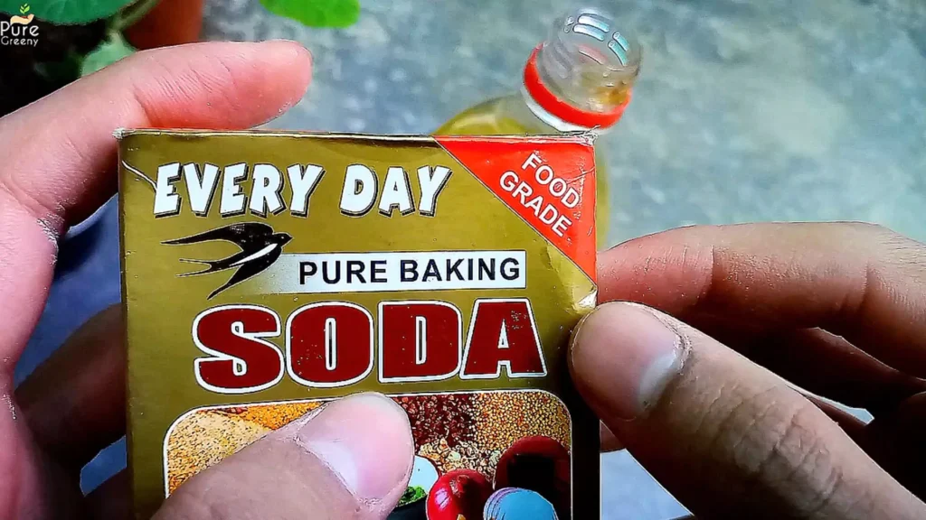 Baking soda For Plants