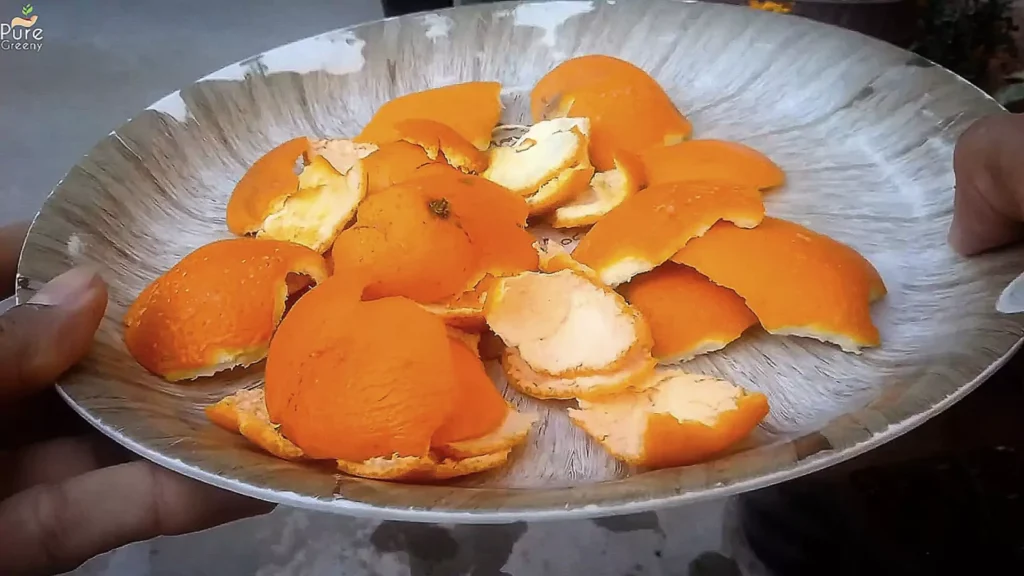 Orange Peels