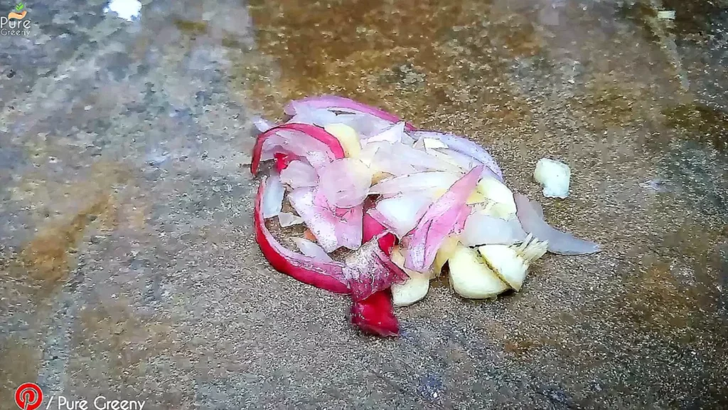 Onion Garlic For pesticide Making