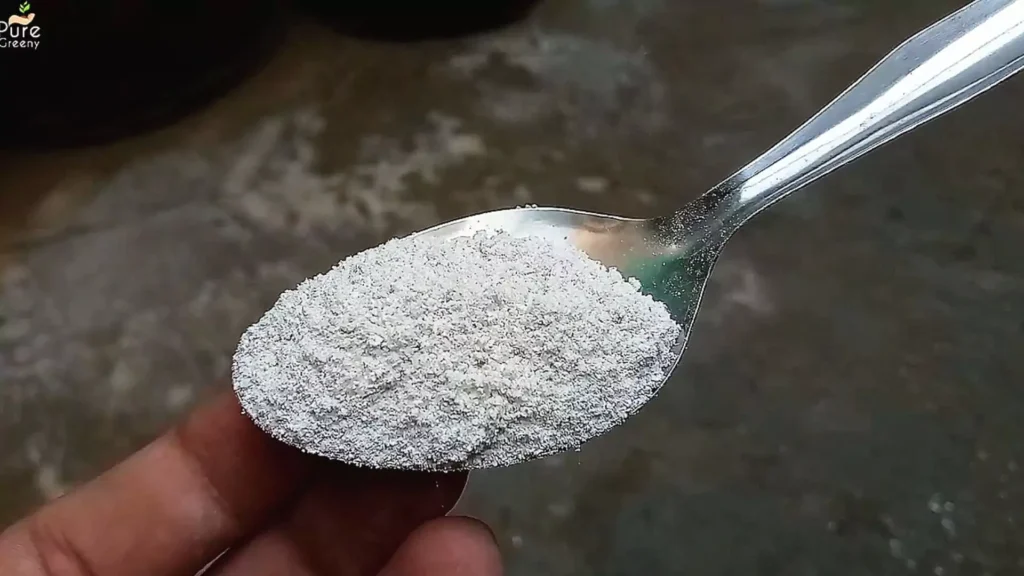 Lime Stone Powder In a Spoon