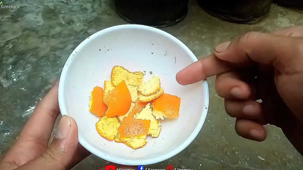 Orange Peels