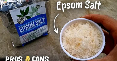 HIDDEN Benefits of Epsom Salt For Plants! (USE THIS WAY*)