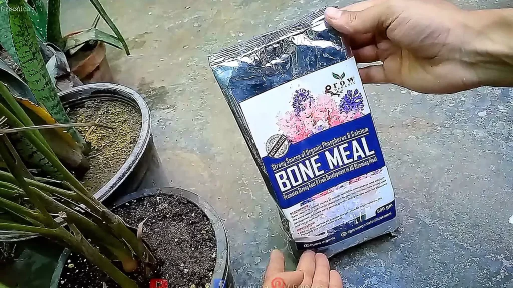 Bone Meal fertilizer