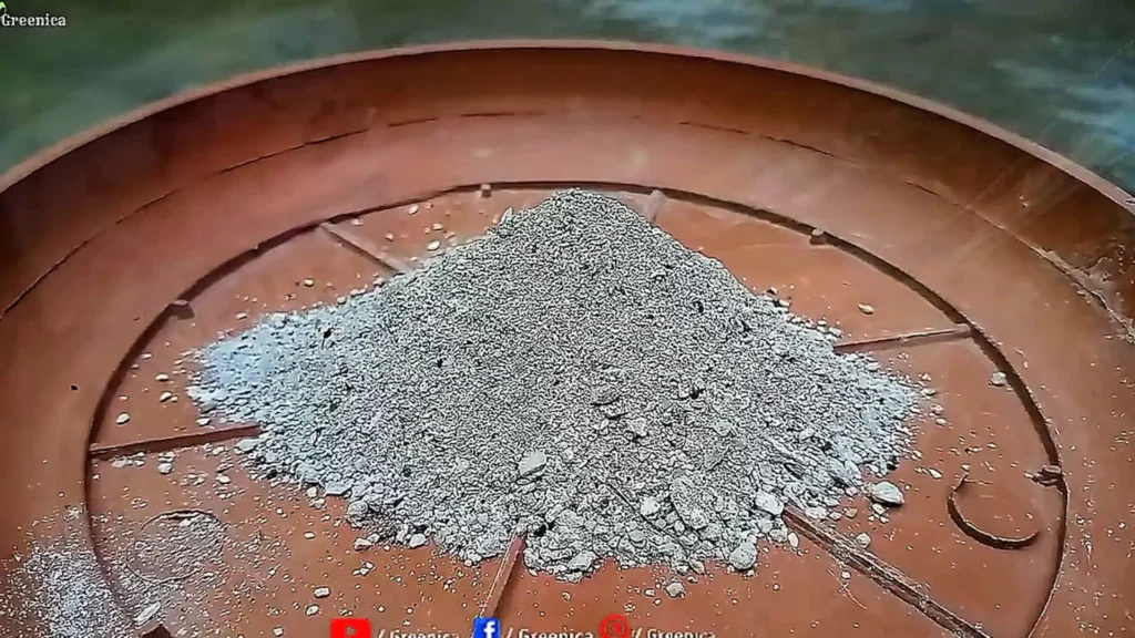 Bone Meal For Plants