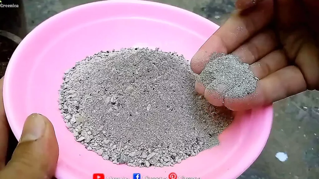 Bone Meal For Plants