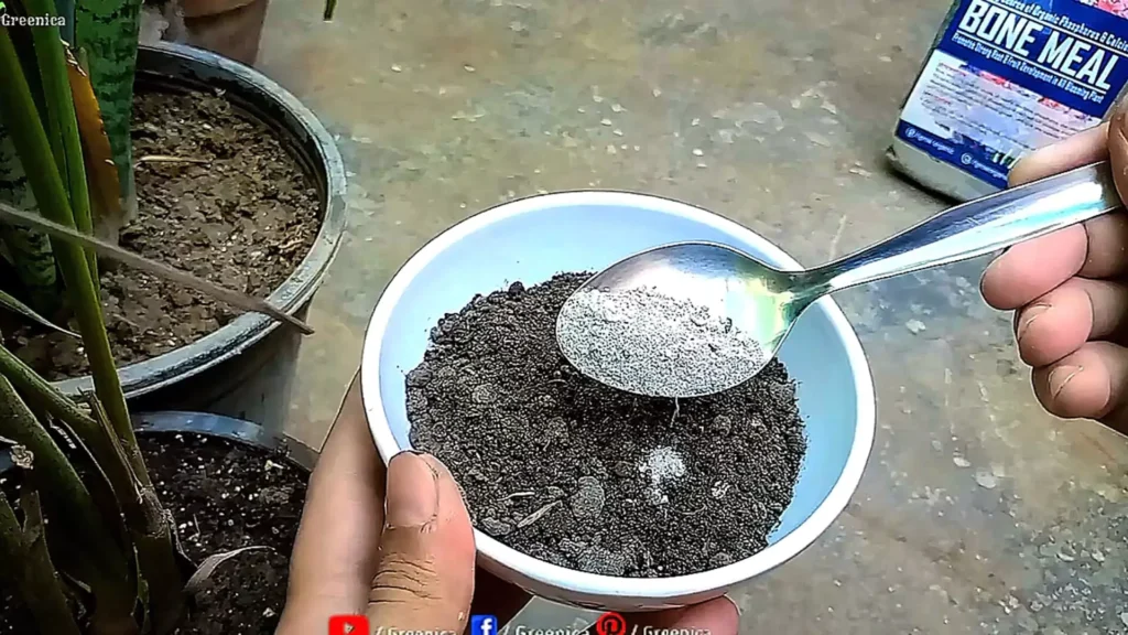 Bone Meal & Compost