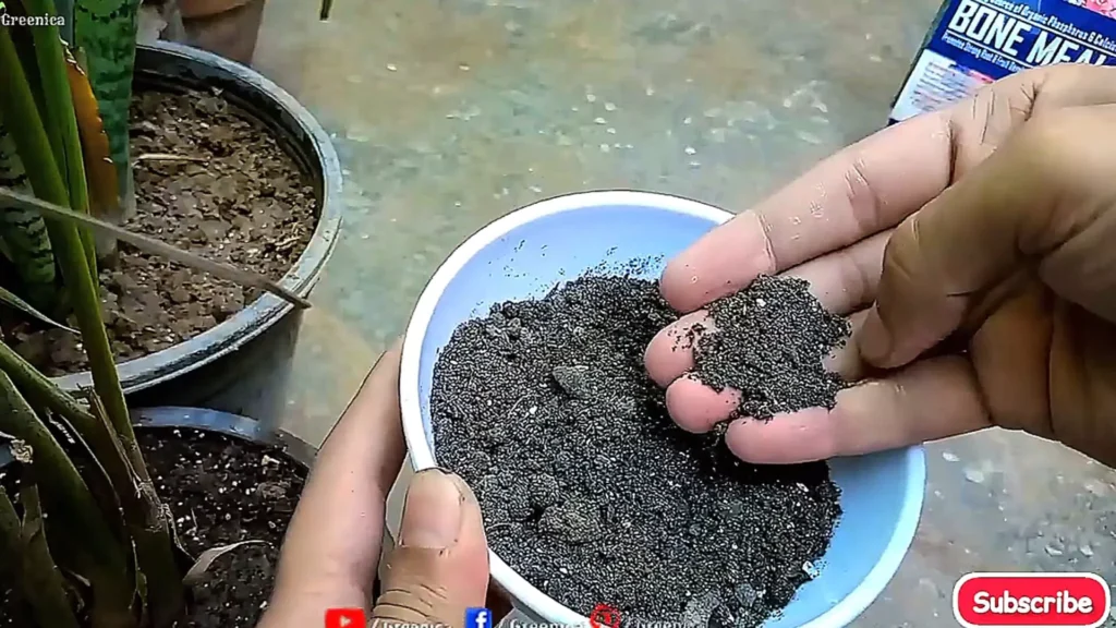Bone Meal & Compost