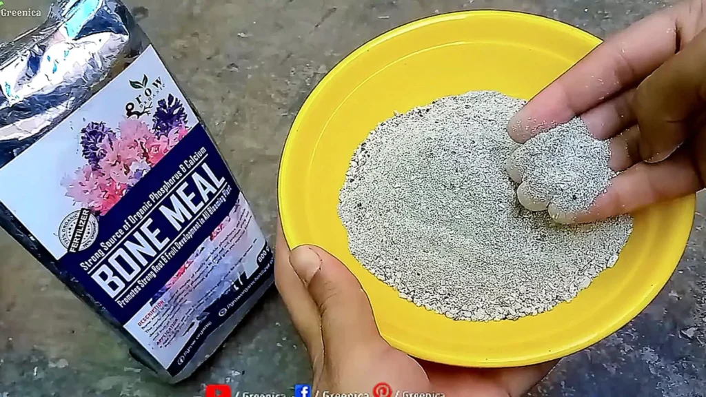 Bone Meal Powder For Plants