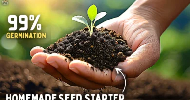Make The Most Effective SEED STARTING MIX At Home: 99% Germination?