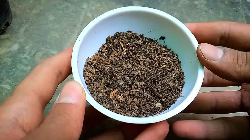 Cow dung Uses For Plants