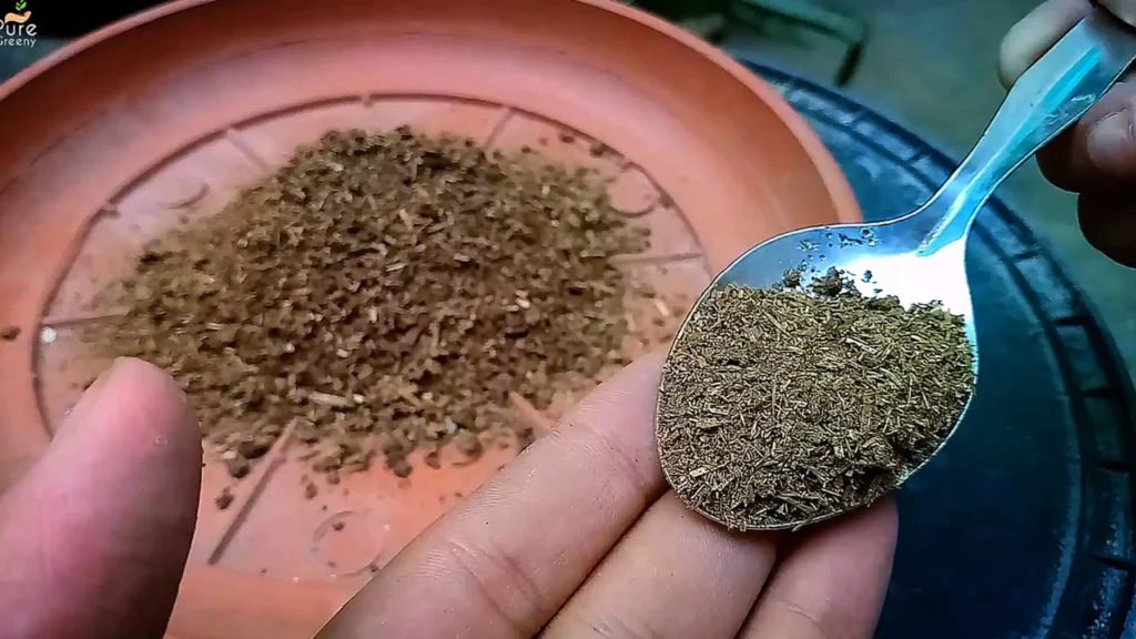 Dried Cow dung For Plants