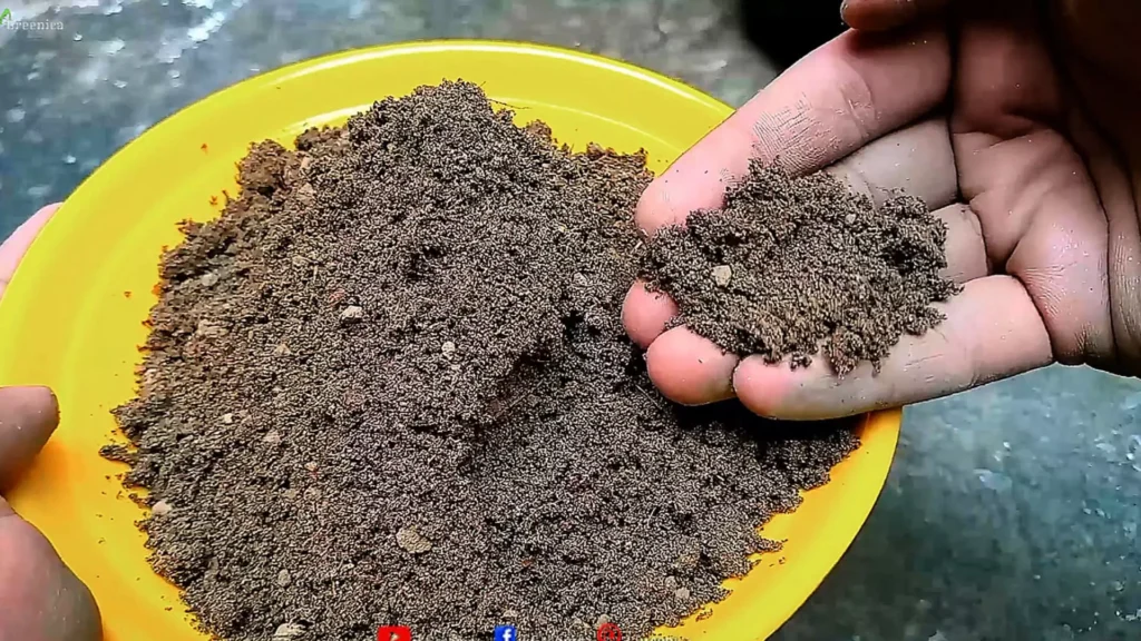 Homemade Potting Soil