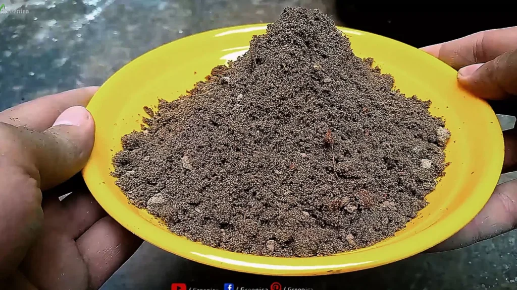 Homemade Soil