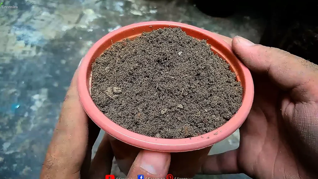 Loose Soil Media For Plants
