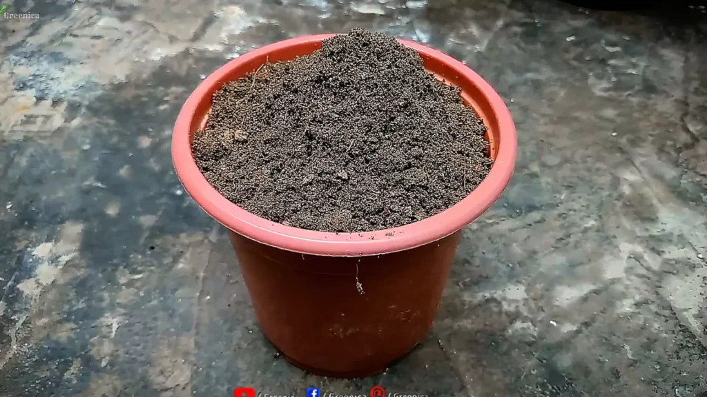 Homemade Potting mix