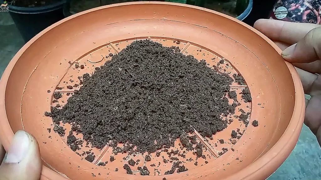 VermiCompost Benefits For Plants