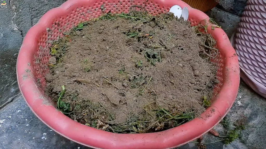 Making Organic VermiCompost