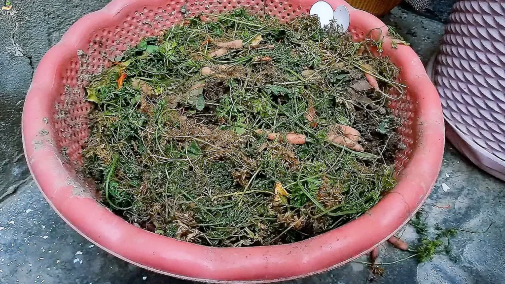 Making Organic VermiCompost
